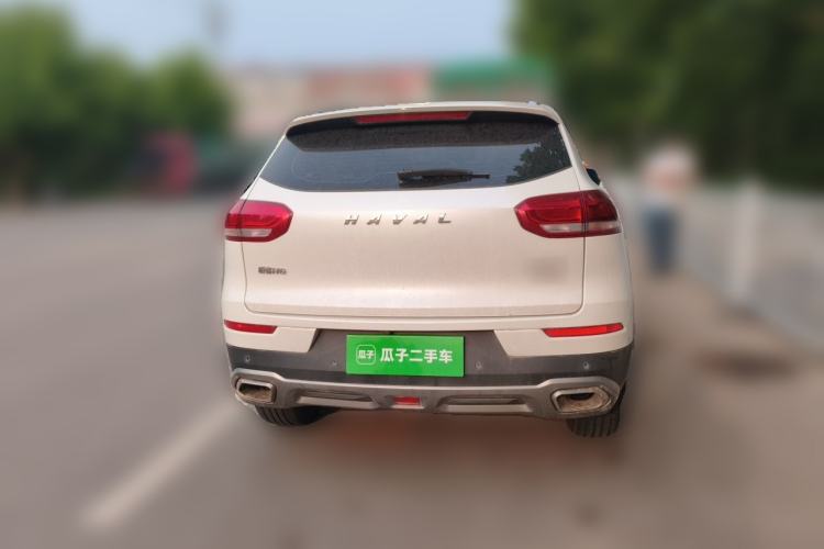 Used Haval H6 2017 Red Label 2.0T Automatic Two-Wheel Drive ZhiShang Model Rear