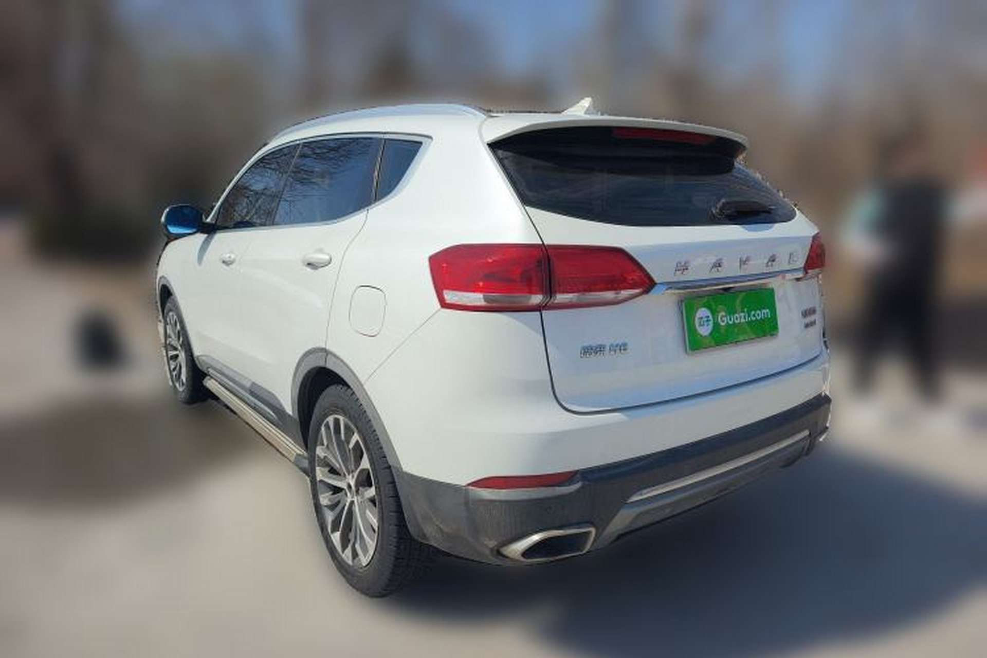 Used Haval H6 2017 Blue Label 2.0T Automatic Two-Wheel Drive Smart Edition Rear Left 45 Deg