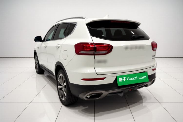 Used Haval H6 2017 Red Label 2.0T Automatic Two-Wheel Drive ZhiShang Model Rear Left 45 Deg