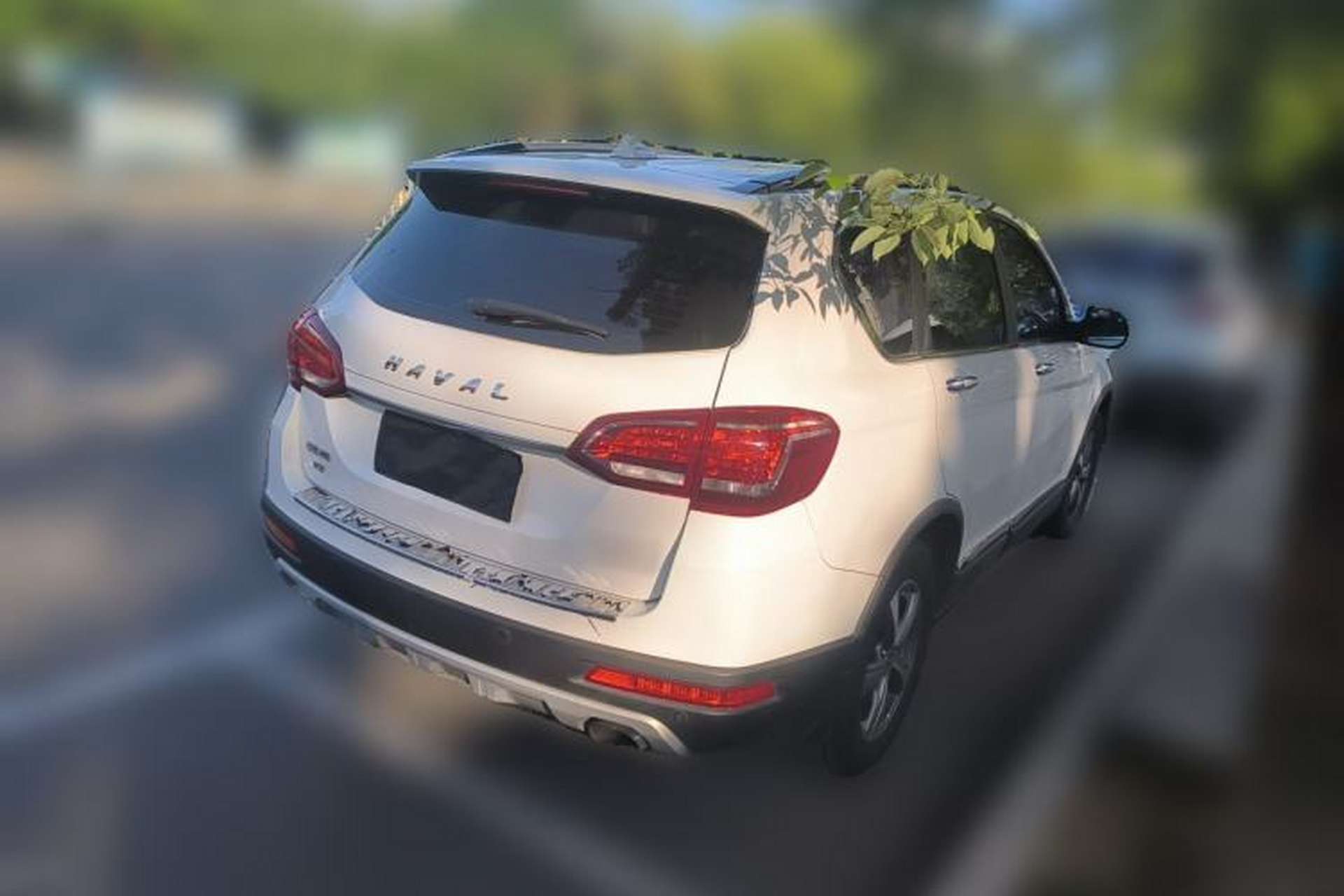 Used Haval H6 2017 Red-Label Sport Edition 1.5T Manual Two-Wheel Drive Elite Model Rear Right 45 Deg