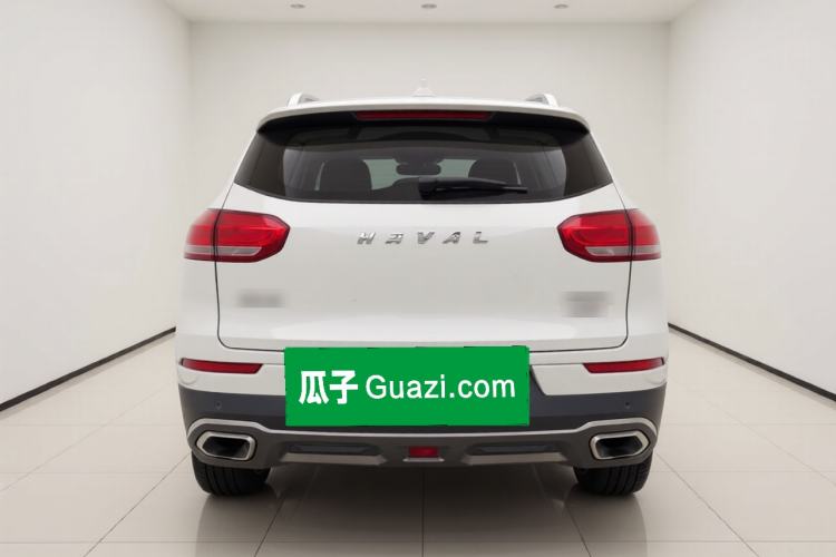 Used Haval H6 2017 Red Label 2.0T Automatic Two-Wheel Drive ZhiShang Model Rear