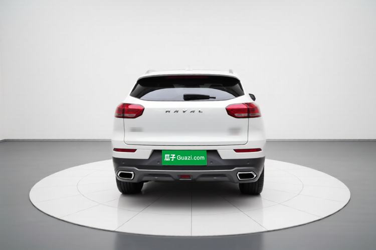 Used Haval H6 2017 Red Label 2.0T Automatic Two-Wheel Drive ZhiShang Model Rear