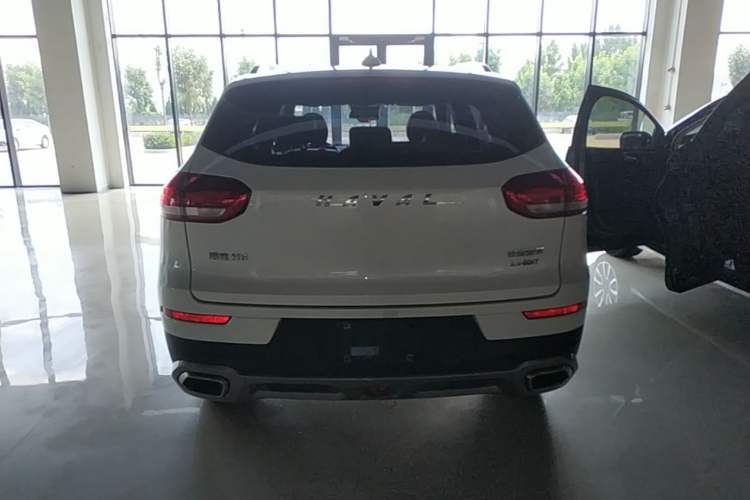 Used Haval H6 2017 Red Label 2.0T Automatic Two-Wheel Drive ZhiShang Model Rear