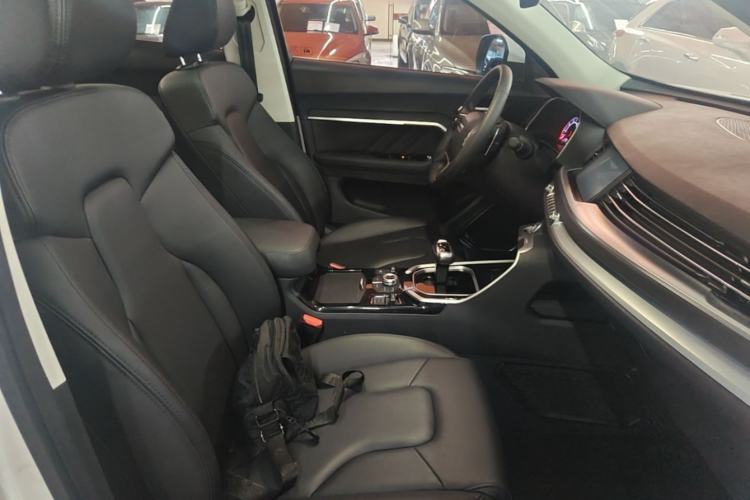 Used Haval H6 2017 Red Label 2.0T Automatic Two-Wheel Drive ZhiShang Model Right Front Seat