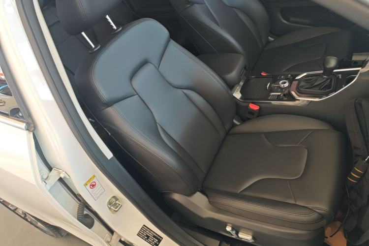 Used Haval H6 2017 Blue Label 1.5T Automatic Two-Wheel Drive ZhiShang Model Right Front Seat