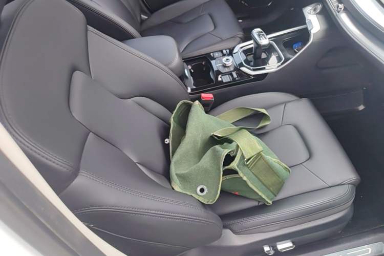 Used Haval H6 2017 Blue Label 2.0T Automatic Two-Wheel Drive Smart Edition Right Front Seat
