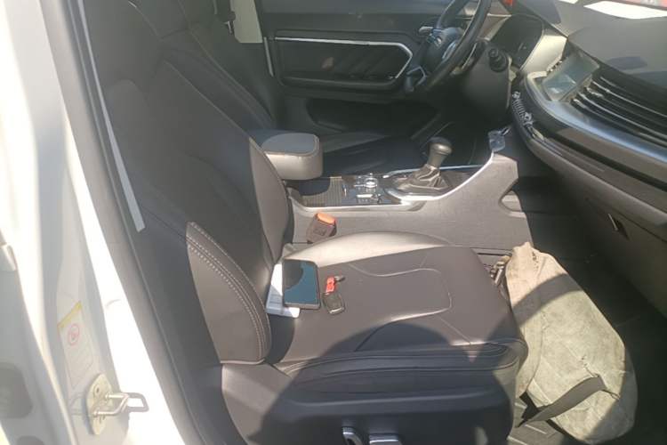 Used Haval H6 2017 Blue Label 1.5T Automatic Two-Wheel Drive ZhiShang Model Right Front Seat