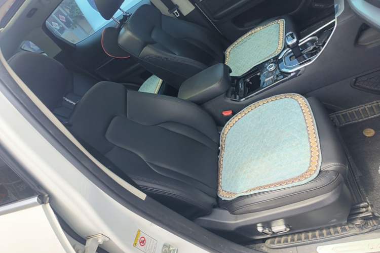 Used Haval H6 2017 Blue Label 2.0T Automatic Two-Wheel Drive Smart Edition Right Front Seat
