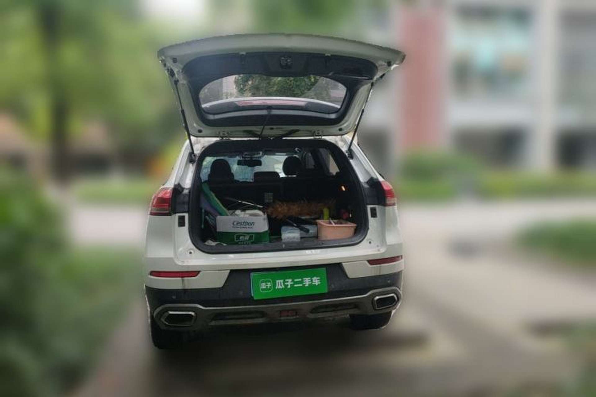 Used Haval H6 2017 Red Label 2.0T Automatic Two-Wheel Drive ZhiShang Model Trunk