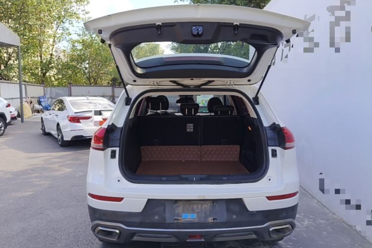 Used Haval H6 2017 Red Label 2.0T Automatic Two-Wheel Drive ZhiShang Model Trunk