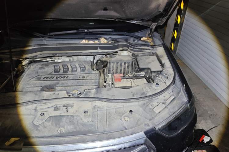 Used Haval H6 2018 Blue Label Sport Edition 1.5T Automatic Two-Wheel Drive Elite Model Engine Bay Left