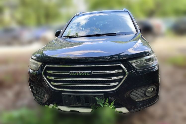 Used Haval H6 2018 Blue Label Sport Edition 1.5T Automatic Two-Wheel Drive Elite Model Front