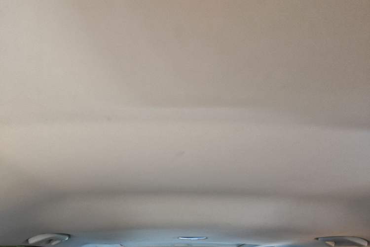 Used Haval H6 2018 Blue Label Sport Edition 1.5T Automatic Two-Wheel Drive Elite Model Headliner