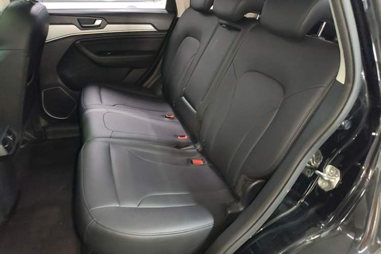 Used Haval H6 2018 Blue Label Sport Edition 1.5T Automatic Two-Wheel Drive Elite Model Left Rear Seat