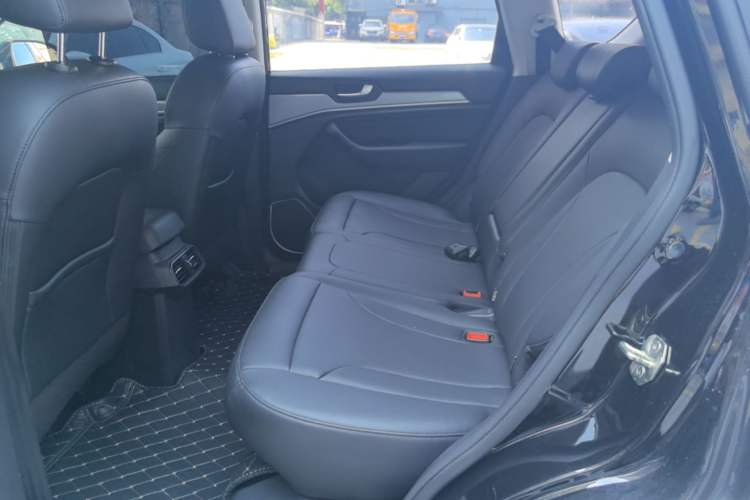 Used Haval H6 2018 Blue Label Sport Edition 1.5T Manual Two-Wheel Drive Elite Model Left Rear Seat