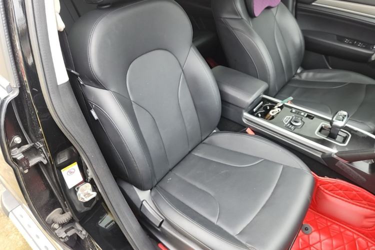 Used Haval H6 2018 Blue Label Sport Edition 1.5T Automatic Two-Wheel Drive Elite Model Right Front Seat