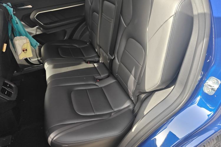 Used Haval H6 2018 Blue Label 1.5T Automatic Ultra-Luxury Model Left Rear Seat