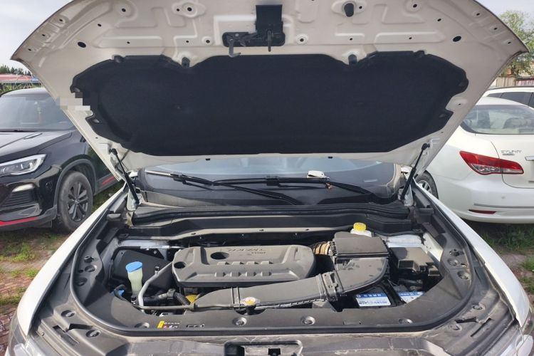 Used Haval H6 2018 Red-Label 2.0T Automatic Luxury Model Engine Bay