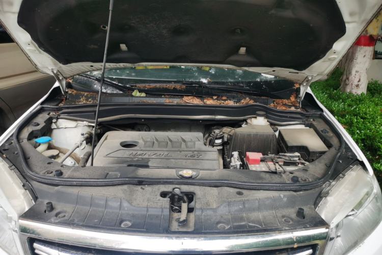 Used Haval H6 2018 Sport Edition 1.5T Automatic Two-Wheel Drive Elite Model China V Standard Engine Bay