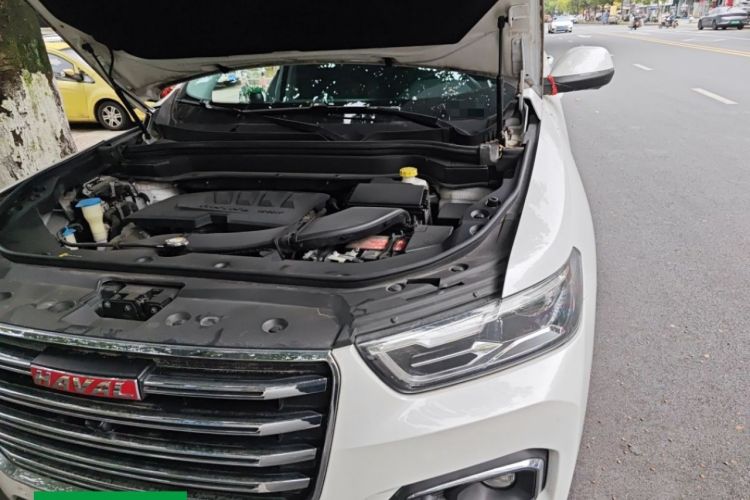 Used Haval H6 2018 Red-Label 1.5T Automatic Luxury Model Engine Bay Left