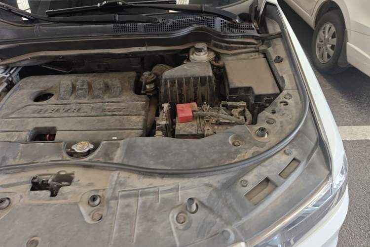 Used Haval H6 2018 Blue Label Sport Edition 1.5T Manual Two-Wheel Drive Elite Model Engine Bay Left