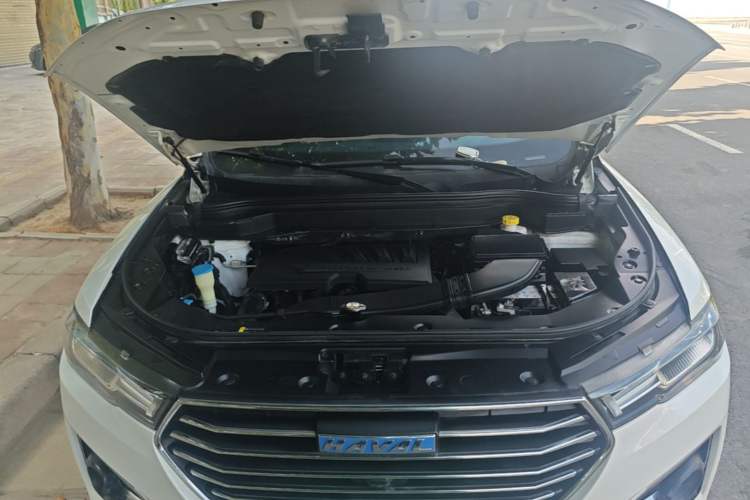 Used Haval H6 2018 Blue-Label 1.5T Automatic Luxury Model Engine Bay