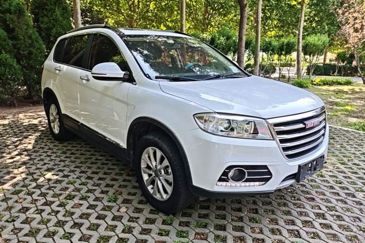 Used Haval H6 2018 Red-Label Sport Version 1.5T Manual Two-Wheel Drive Elite Model Exterior 1