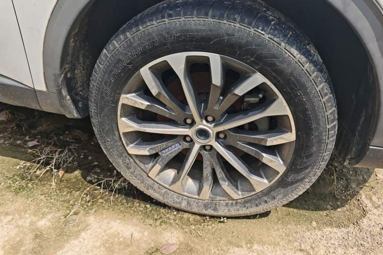Used Haval H6 2018 Blue-Label 1.5T Automatic Luxury Model Exterior 1