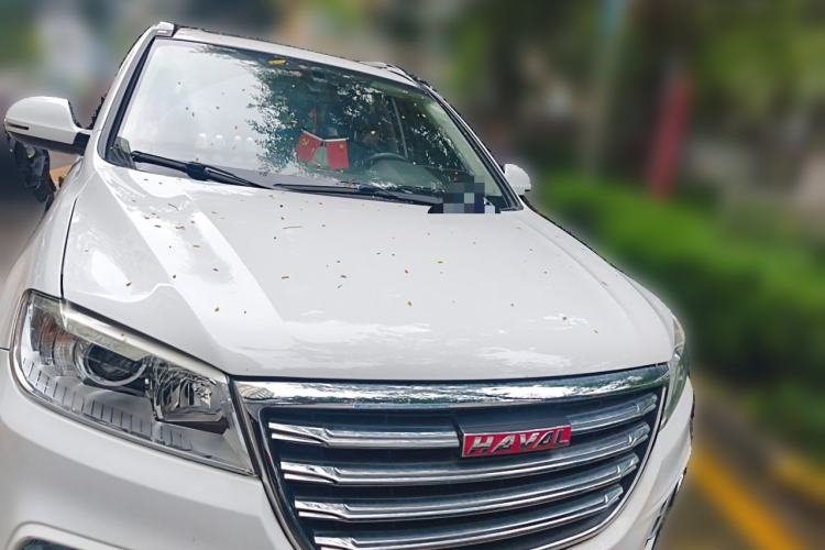 Used Haval H6 2018 Red-Label Sport Version 1.5T Manual Two-Wheel Drive Elite Model Front