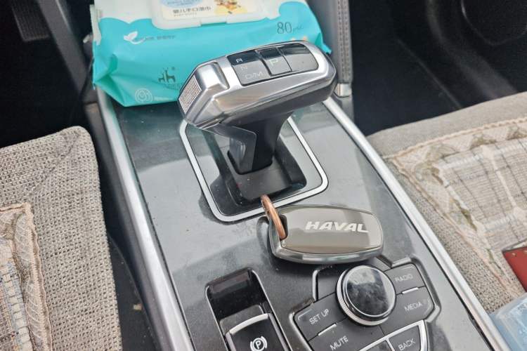 Used Haval H6 2018 Blue Label Sport Edition 1.5T Automatic Two-Wheel Drive Elite Model Gear Lever