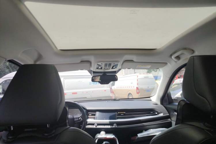 Used Haval H6 2018 Blue Label 2.0T Automatic Luxury Model Headliner
