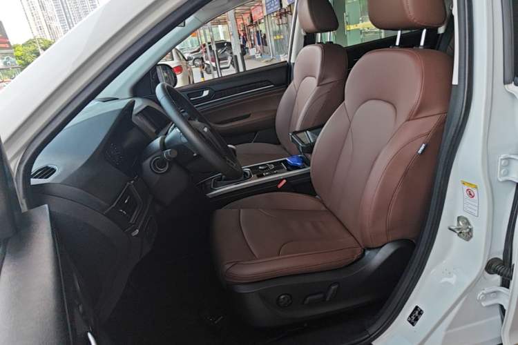 Used Haval H6 2018 Blue Label Sport Edition 1.5T Manual Two-Wheel Drive Elite Model Left Front Seat