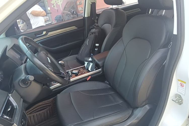 Used Haval H6 2018 Blue Label Sport Edition 1.5T Manual Two-Wheel Drive Elite Model Left Front Seat