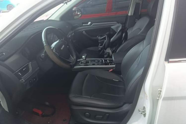 Used Haval H6 2018 Blue Label Sport Edition 1.5T Automatic Two-Wheel Drive Elite Model Left Front Seat