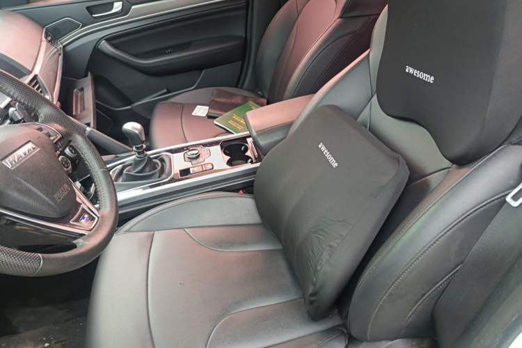 Used Haval H6 2018 Blue Label Sport Edition 1.5T Manual Two-Wheel Drive Elite Model Left Front Seat