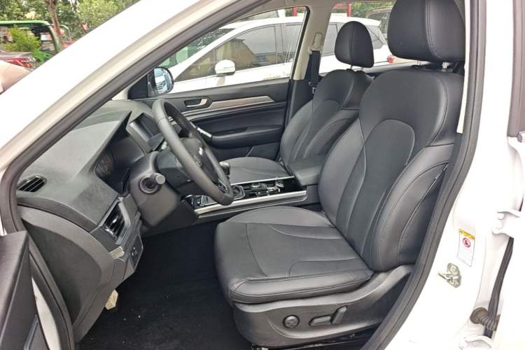 Used Haval H6 2018 Blue Label Sport Edition 1.5T Manual Two-Wheel Drive Elite Model Left Front Seat