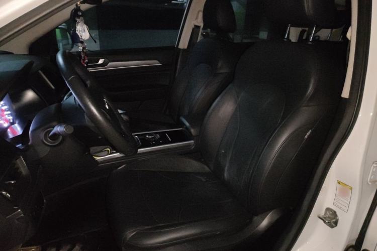 Used Haval H6 2018 Blue Label Sport Edition 1.5T Manual Two-Wheel Drive Elite Model Left Front Seat