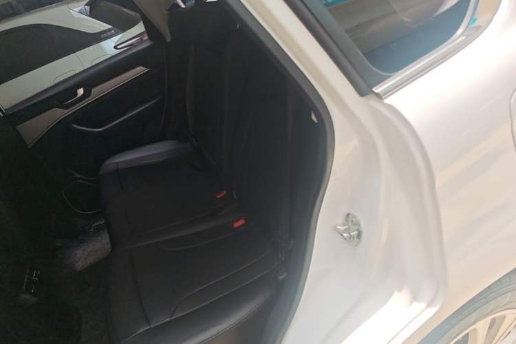 Used Haval H6 2018 Blue Label Sport Edition 1.5T Automatic Two-Wheel Drive Elite Model Left Rear Seat