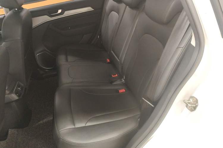 Used Haval H6 2018 Blue Label Sport Edition 1.5T Automatic Two-Wheel Drive Elite Model Left Rear Seat
