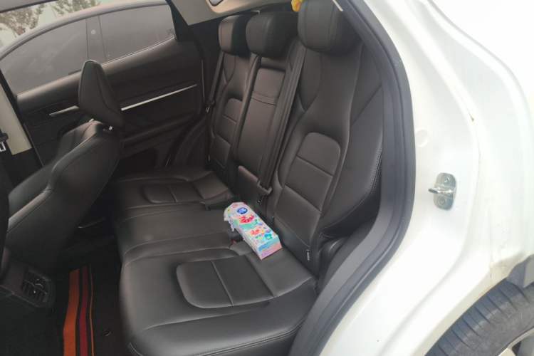 Used Haval H6 2018 Blue-Label 1.5T Automatic Luxury Model Left Rear Seat
