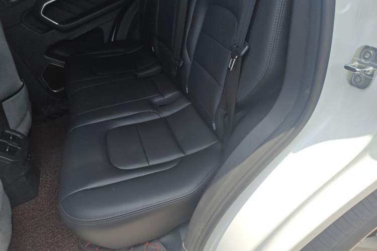 Used Haval H6 2018 Red-Label 1.5T Automatic Ultra-Luxury Model Left Rear Seat
