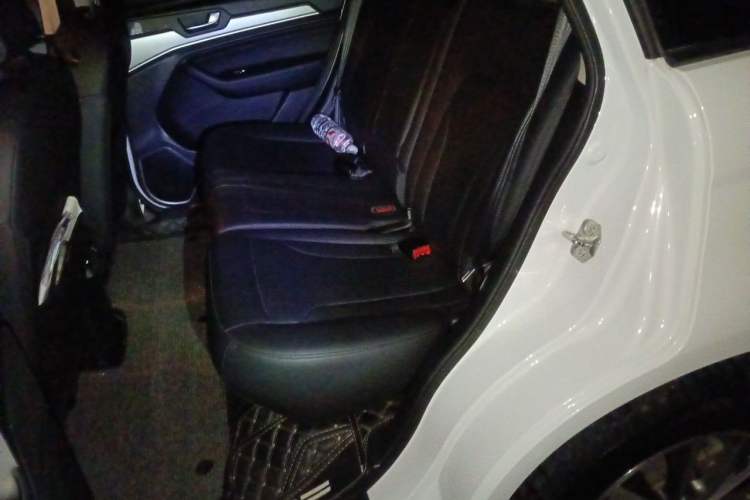 Used Haval H6 2018 Blue Label Sport Edition 1.5T Automatic Two-Wheel Drive Prestige Model Left Rear Seat