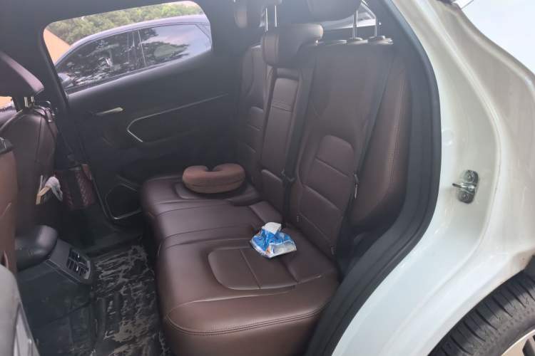 Used Haval H6 2018 Red-Label 1.5T Automatic Luxury Model Left Rear Seat
