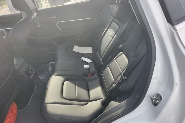 Used Haval H6 2018 Red-Label 2.0T Automatic Luxury Model Left Rear Seat