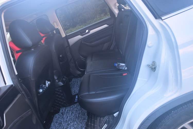 Used Haval H6 2018 Red-Label Sport Version 1.5T Manual Two-Wheel Drive Elite Model Left Rear Seat