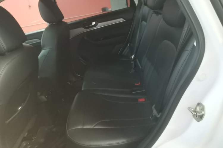 Used Haval H6 2018 Red-Label Sport Edition 1.5T Automatic Two-Wheel Drive Elite Model Left Rear Seat