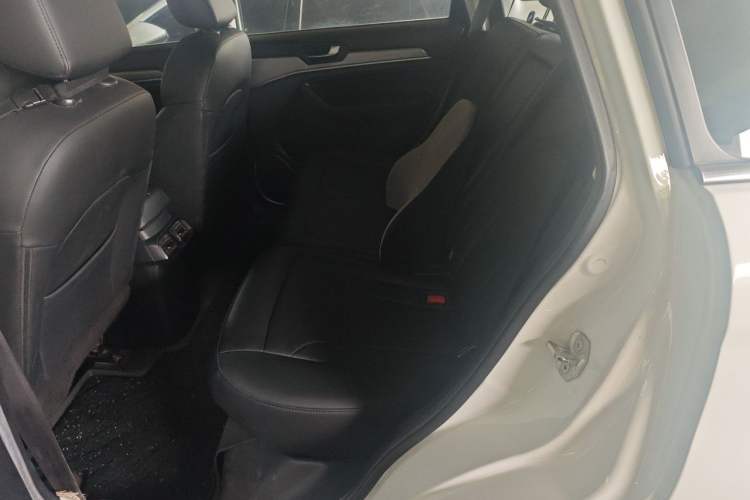 Used Haval H6 2018 Blue Label Sport Edition 1.5T Manual Two-Wheel Drive Elite Model Left Rear Seat