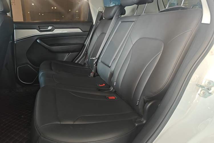 Used Haval H6 2018 Red-Label Sport Edition 1.5T Automatic Two-Wheel Drive Elite Model Left Rear Seat