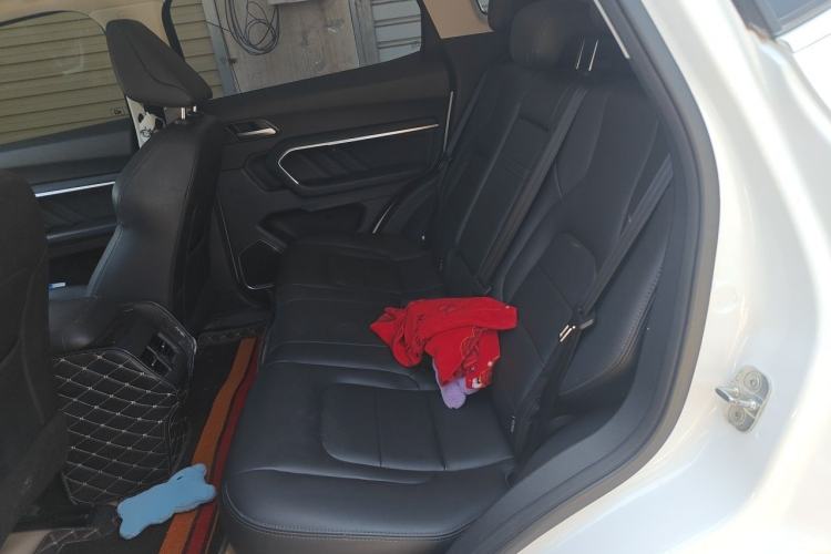 Used Haval H6 2018 Red-Label 1.5T Automatic Luxury Model Left Rear Seat