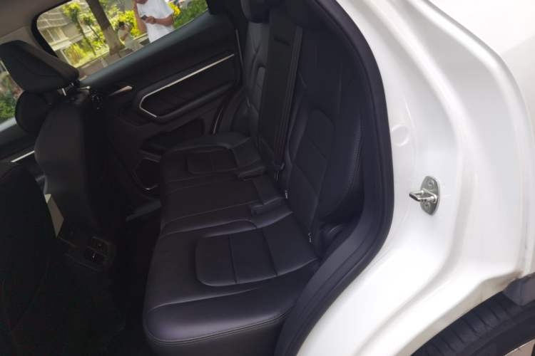 Used Haval H6 2018 Blue-Label 1.5T Automatic Luxury Model Left Rear Seat